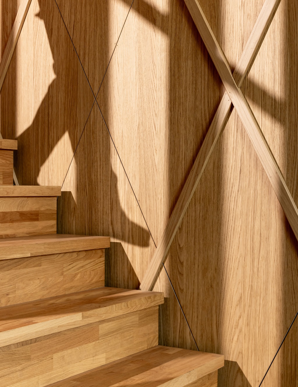 Person walking of the stairs, seen in the shadow