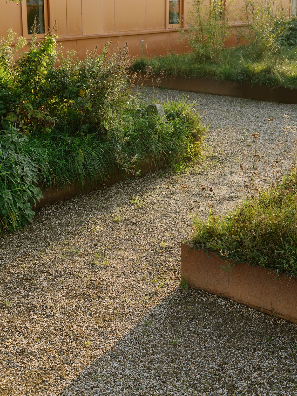 Virgo_Aalsmeer_Stellar_Development_Rooftop