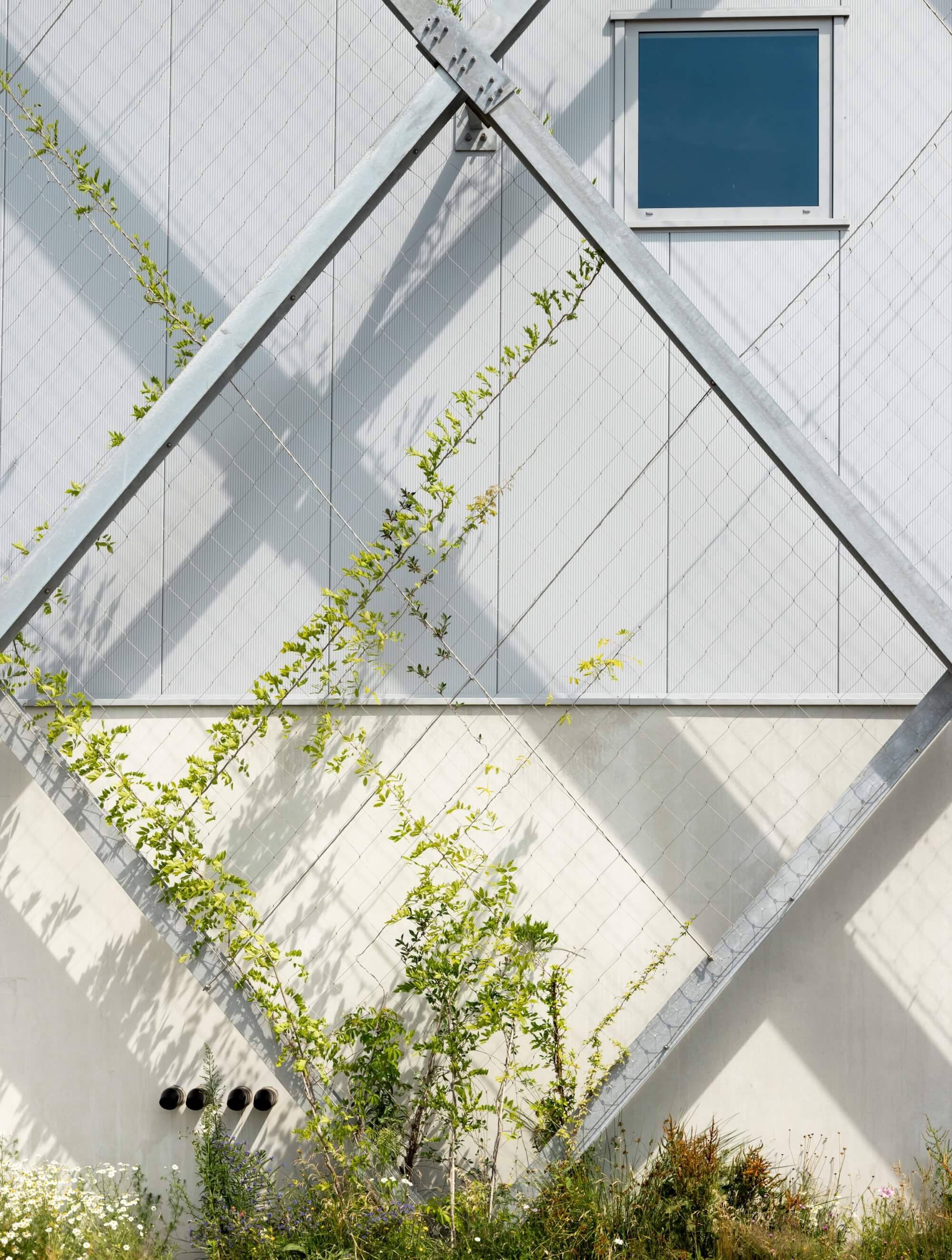 Ecological screen