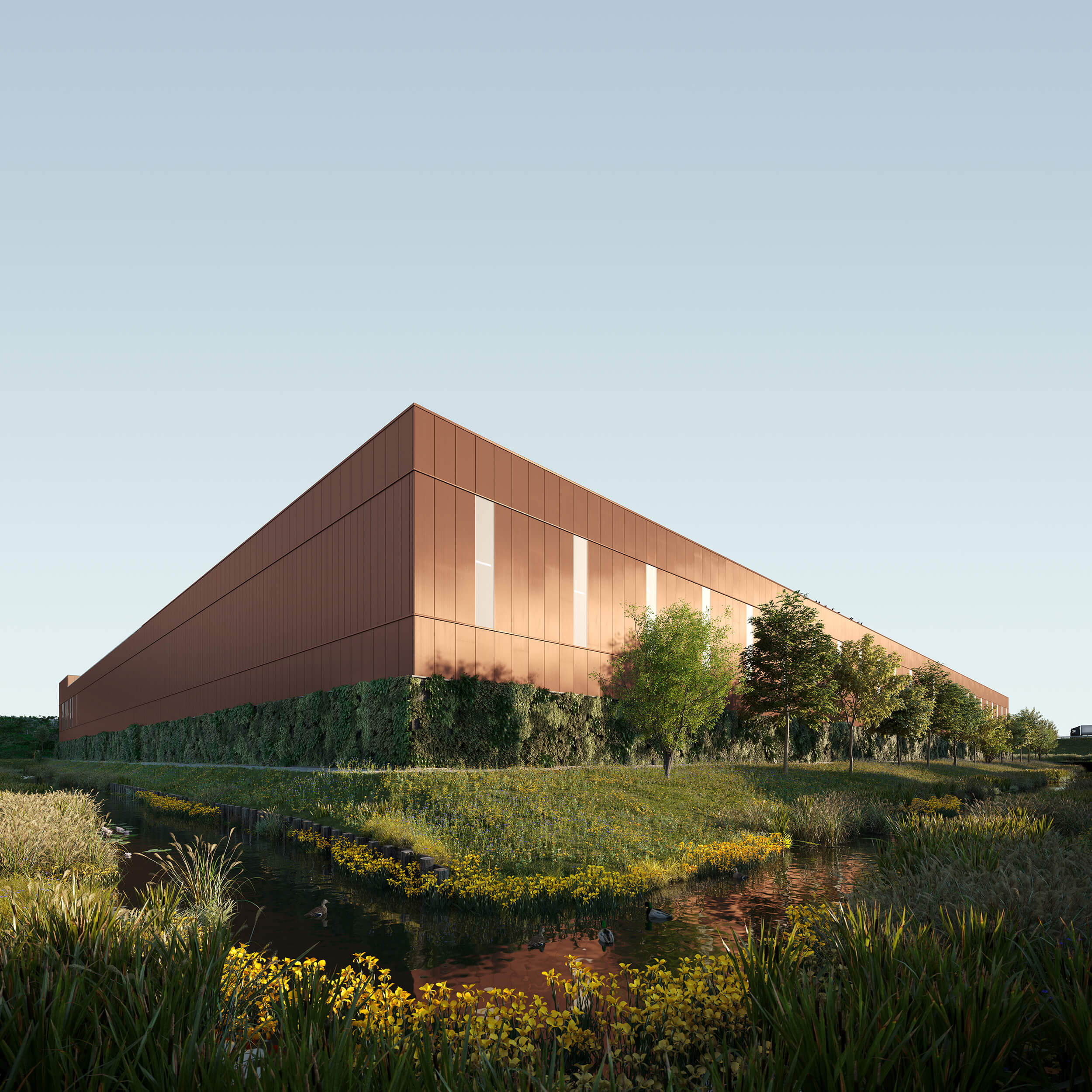 Virgo Aalsmeer by Stellar Development