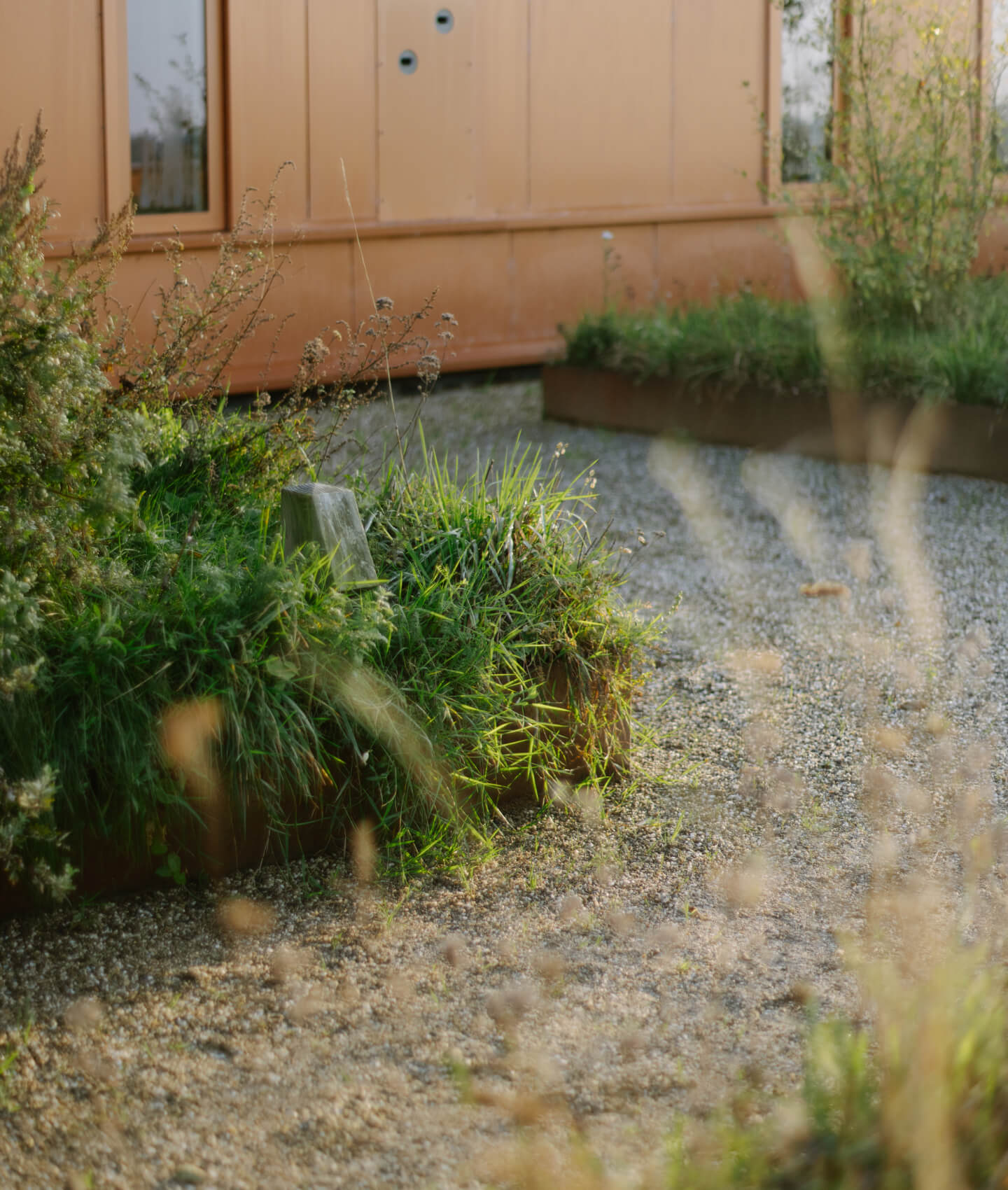 Virgo_Aalsmeer Rooftop Garden Path by Stellar Development